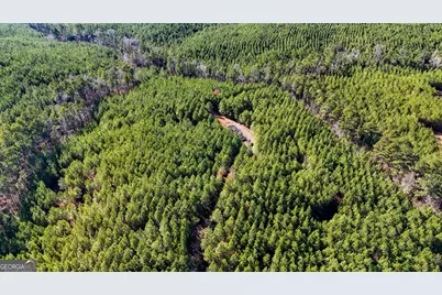 375 Bagley, Forsyth, GA 31029 - Photo 6