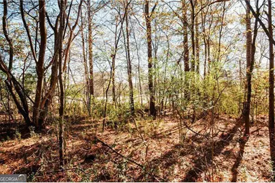 0 Bill Carruth Parkway, Hiram, GA 30141 - Photo 8