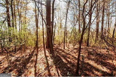 0 Bill Carruth Parkway, Hiram, GA 30141 - Photo 6