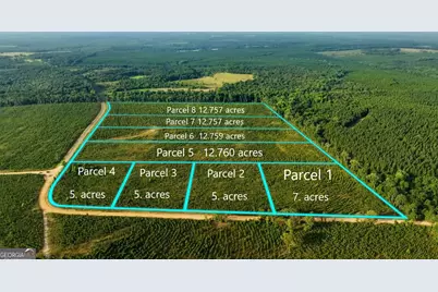 Parcel 6 Carl Rodgers Road, Reynolds, GA 31076 - Photo 1