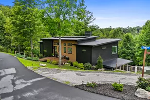 21 That Wy, Young Harris, GA 30582 - Photo 54