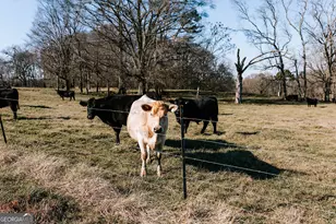 119 Ralph Bridges Rd, Lexington, GA 30648 - Photo 64