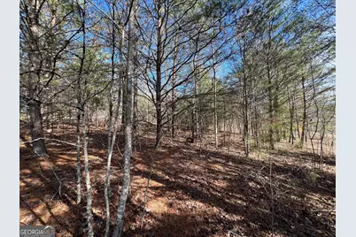 13 Gladys Lane, Young Harris, GA 30582 - Photo 10