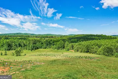 119 Inland Drive, Talking Rock, GA 30175 - Photo 12