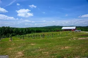 119 Inland Dr, Talking Rock, GA 30175 - Photo 6