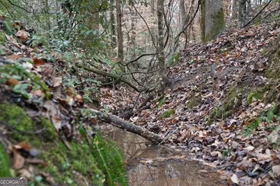 0 S 42 Hwy, Forsyth, GA 31029 - Photo 8