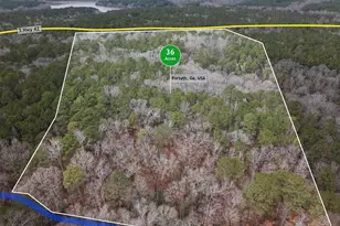 0 S 42 Hwy, Forsyth, GA 31029 - Photo 1