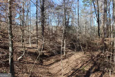 178.235 Ac Rocky Mount Road, Luthersville, GA 30251 - Photo 20