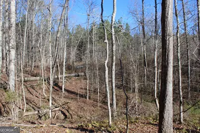 178.235 Ac Rocky Mount Road, Luthersville, GA 30251 - Photo 14