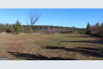 178.235 Ac Rocky Mount Road, Luthersville, GA 30251 - Photo 12