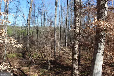178.235 Ac Rocky Mount Road, Luthersville, GA 30251 - Photo 22