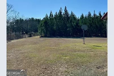201 Claude Anderson Road, Claxton, GA 30417 - Photo 24