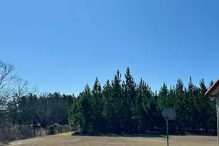 201 Claude Anderson Rd, Claxton, GA 30417 - Photo 24