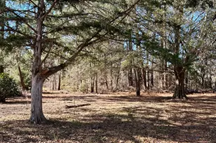 201 Claude Anderson Rd, Claxton, GA 30417 - Photo 36