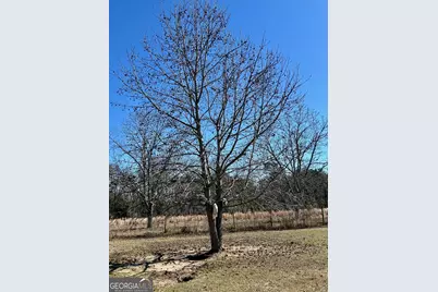 201 Claude Anderson Road, Claxton, GA 30417 - Photo 24