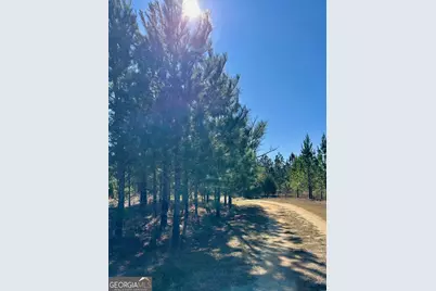 201 Claude Anderson Road, Claxton, GA 30417 - Photo 38