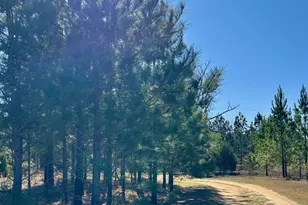 201 Claude Anderson Rd, Claxton, GA 30417 - Photo 38