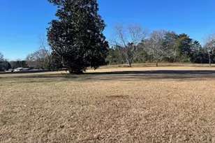 425 Trice Cemetery Rd, Thomaston, GA 30286 - Photo 30