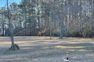 425 Trice Cemetery Rd, Thomaston, GA 30286 - Photo 24