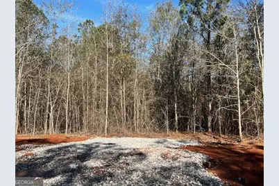 144 Berry Road, Barnesville, GA 30204 - Photo 4