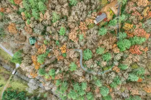 175 Big Creek Vista, Blue Ridge, GA 30513 - Photo 40