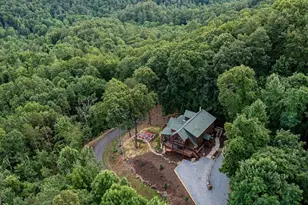 175 Cochise Road, Blue Ridge, GA 30513 - Photo 60