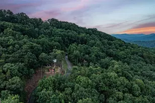 175 Cochise Road, Blue Ridge, GA 30513 - Photo 58