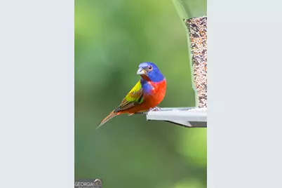 107 Wards Lane, Saint Marys, GA 31558 - Photo 48