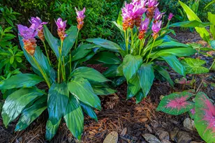 107 Wards Ln, Saint Marys, GA 31558 - Photo 50