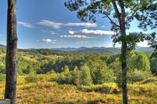 375 Blue Berry Ridge, Morganton, GA 30560 - Photo 38