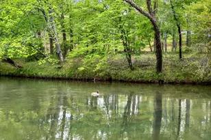 133 Muller Ln, Ellijay, GA 30540 - Photo 64