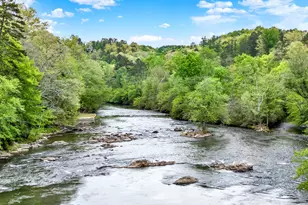 133 Muller Ln, Ellijay, GA 30540 - Photo 62