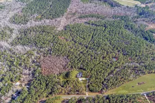 273 High Point Rd, Buchanan, GA 30113 - Photo 70