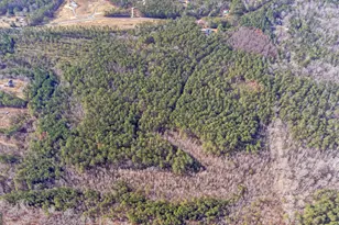 273 High Point Rd, Buchanan, GA 30113 - Photo 64