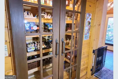 246 Adams Circle, Mineral Bluff, GA 30559 - Photo 58