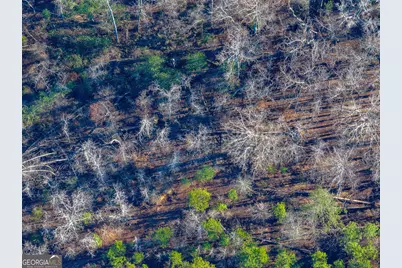 Tract 3 Dunbar School Road, Williamson, GA 30292 - Photo 14