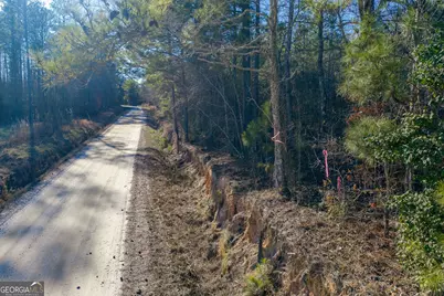 Tract 3 Dunbar School Road, Williamson, GA 30292 - Photo 6