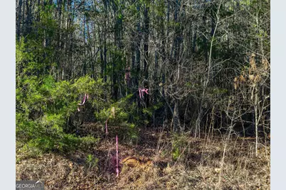 Tract 5 Dunbar School Road, Williamson, GA 30292 - Photo 8