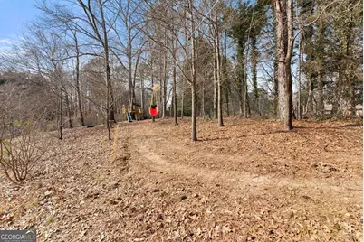 1360 Platinum Drive, Hoschton, GA 30548 - Photo 42