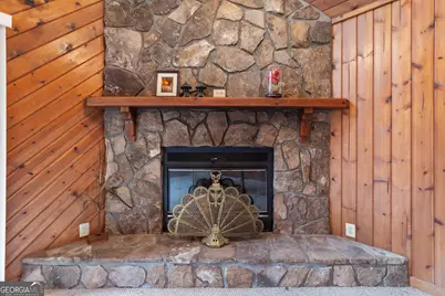 374 W Sugarbush Drive, Sky Valley, GA 30537 - Photo 8