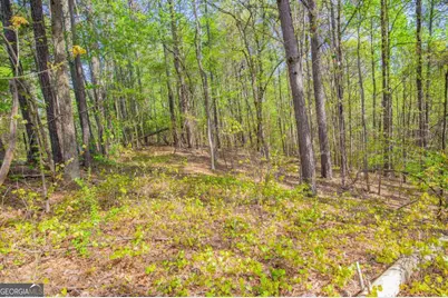 0 Lake Esther Drive #LOT 1, Fairburn, GA 30213 - Photo 4