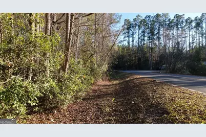 0 Virginia Ave, Woodbine, GA 31569 - Photo 12