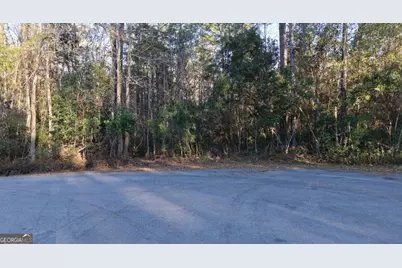 0 Virginia Ave, Woodbine, GA 31569 - Photo 14