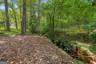 395 E Louise St, Clarkesville, GA 30523 - Photo 32