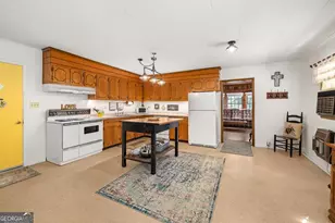 395 E Louise St, Clarkesville, GA 30523 - Photo 10