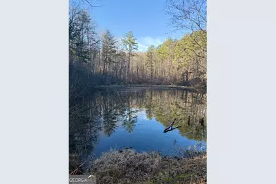 15 Mountain Gate, Cleveland, GA 30528 - Photo 1