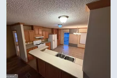 163 Dellwood Road, Swainsboro, GA 30401 - Photo 8