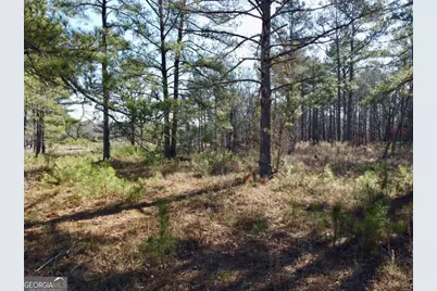 300 Old Social Circle Road, Mansfield, GA 30055 - Photo 14