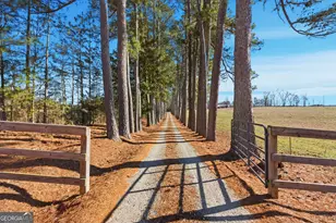 281 Line Rd, Toccoa, GA 30577 - Photo 12