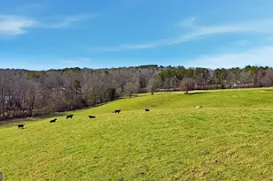 281 Line Rd, Toccoa, GA 30577 - Photo 84